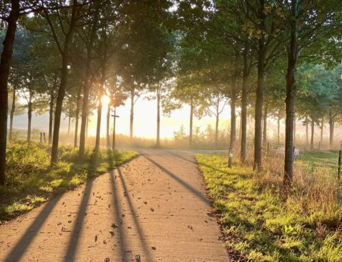 >Een gezegend 2026 gewenst!